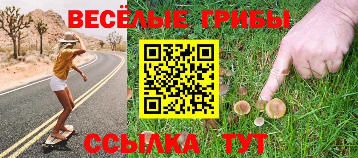 Псилоцибиновые грибы ЛСД Калач-на-Дону