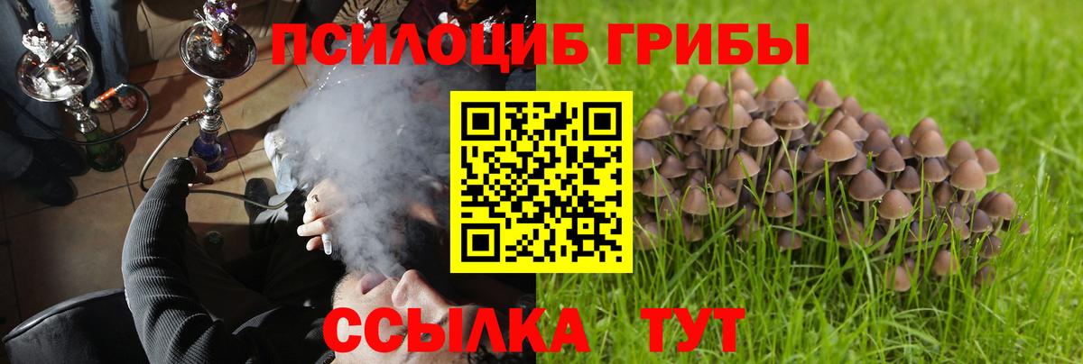 Калач-на-Дону  Псилоцибиновые грибы GOLDEN TEACHER  Вход с VPN 